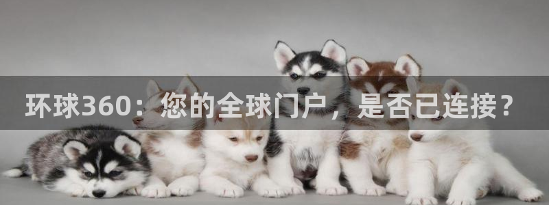 壹号下载安装：环球360：您的全球门户，是否已连接？