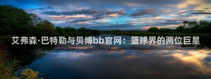 耀世娱乐,apk：艾弗森·巴特勒与贝博bb官网：篮球界的两位巨星