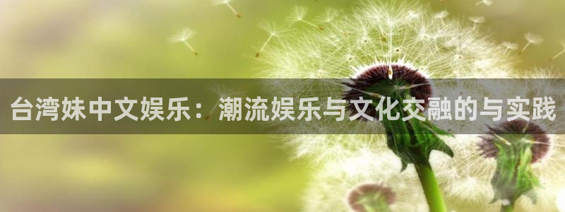 壹号玩家app下载：台湾妹中文娱乐：潮流娱乐与文化交融的与实践
