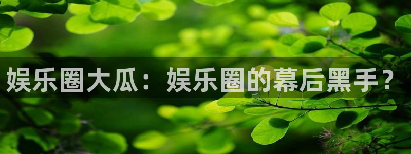 壹号平台注册链接官网下载：娱乐圈大瓜：娱乐圈的幕后黑手？
