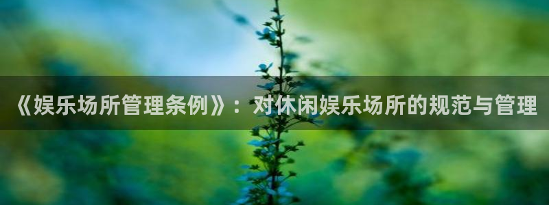 壹号app下载链接：《娱乐场所管理条例》：对休闲娱乐场所的规范与管理