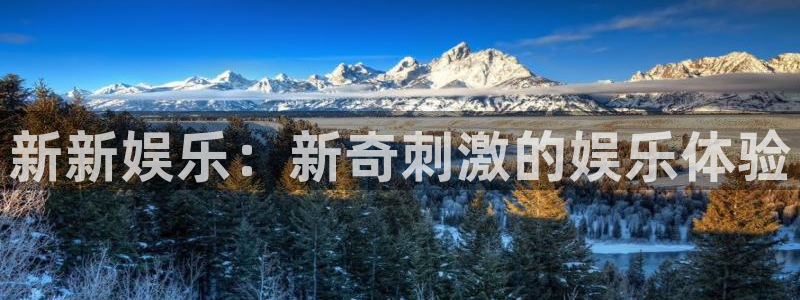 壹号app官网：新新娱乐：新奇刺激的娱乐体验