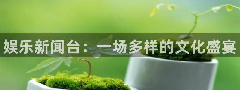 壹号下载安装：娱乐新闻台：一场多样的文化盛宴