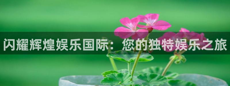 耀世娱乐 - ng大舞台,有梦你就来：闪耀辉煌娱乐国际：您的独特娱乐之旅