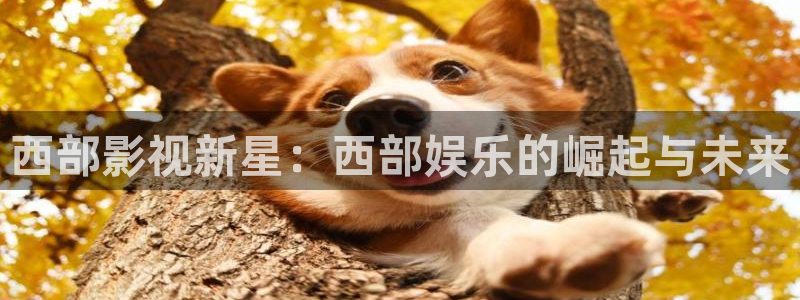 壹号平台下载：西部影视新星：西部娱乐的崛起与未来