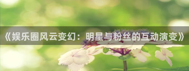 耀世娱乐平台app下载：《娱乐圈风云变幻：明星与粉丝的互动演变》