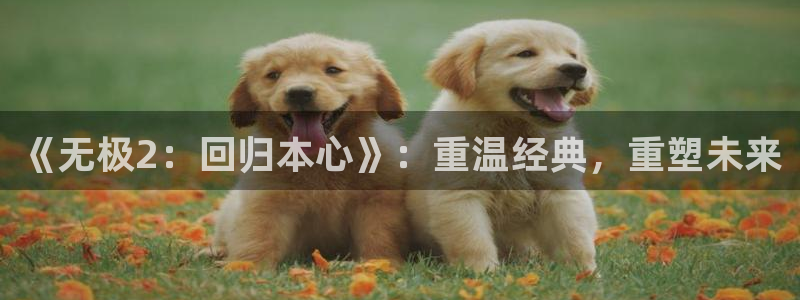 壹号大舞台下载链接：《无极2：回归本心》：重温经典，重塑未来