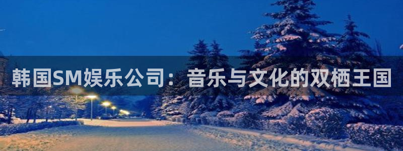 壹号大舞台网站：韩国SM娱乐公司：音乐与文化的双栖王国
