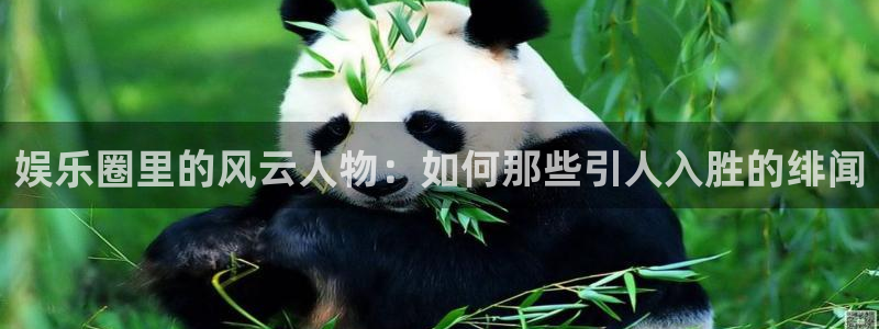 耀世娱乐官网：娱乐圈里的风云人物：如何那些引人入胜的绯闻