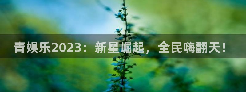 耀世娱乐怎么下载：青娱乐2023：新星崛起，全民嗨翻天！