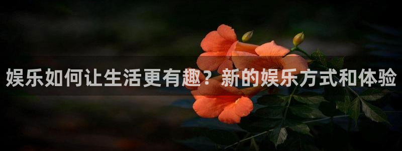 壹号平台娱乐：娱乐如何让生活更有趣？新的娱乐方式和体验
