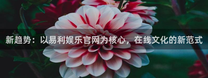 壹号平台注册链接官网下载：新趋势：以易利娱乐官网为核心，在线文化的新范式