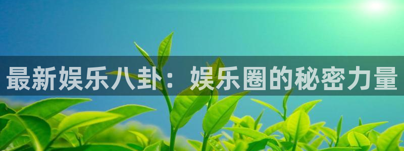 壹号官方app下载安装：最新娱乐八卦：娱乐圈的秘密力量