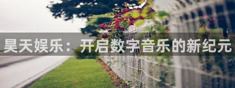 壹号app下载链接：昊天娱乐：开启数字音乐的新纪元