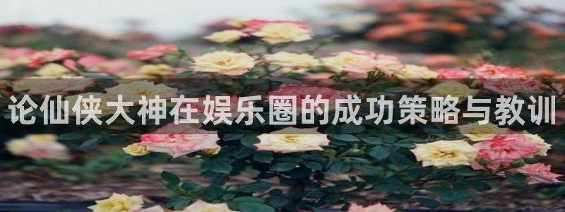耀世娱乐官方网站下载：论仙侠大神在娱乐圈的成功策略与教训