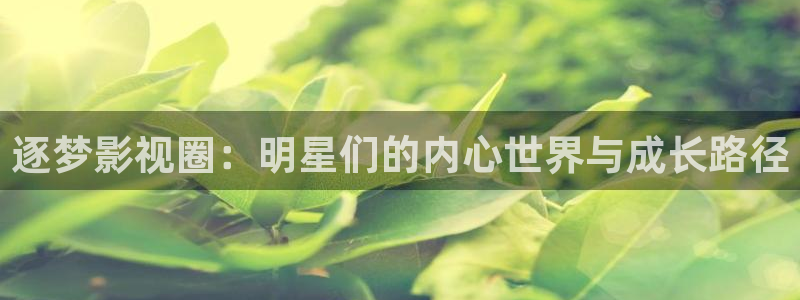 壹号平台app下载安装：逐梦影视圈：明星们的内心世界与成长路径