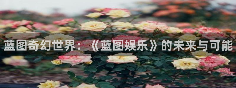 壹号大舞台网站