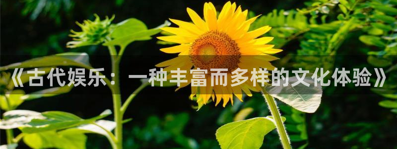 壹号大舞台娱乐app下载安装