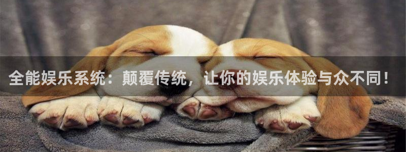 耀世娱乐,apk：全能娱乐系统：颠覆传统，让你的娱乐体验与众不同！