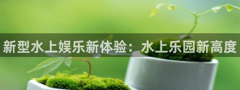 耀世娱乐app下载安装：新型水上娱乐新体验：水上乐园新高度