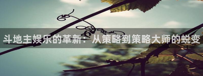 耀世娱乐科技赋能,让平台更有趣：斗地主娱乐的革新：从策略到策略大师的蜕变