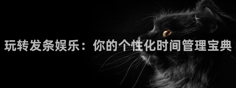 耀世娱乐app官网下载：玩转发条娱乐：你的个性化时间管理宝典
