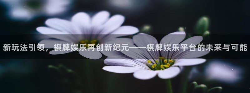 壹号大舞台娱乐传媒：新玩法引领，棋牌娱乐再创新纪元——棋牌娱乐平台的未来与可能