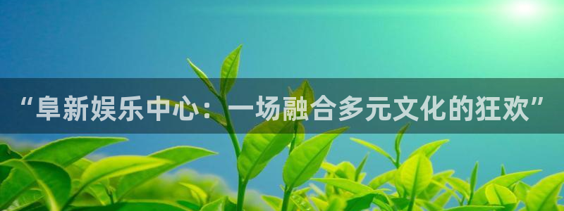 耀世娱乐app下载地址：“阜新娱乐中心：一场融合多元文化的狂欢”