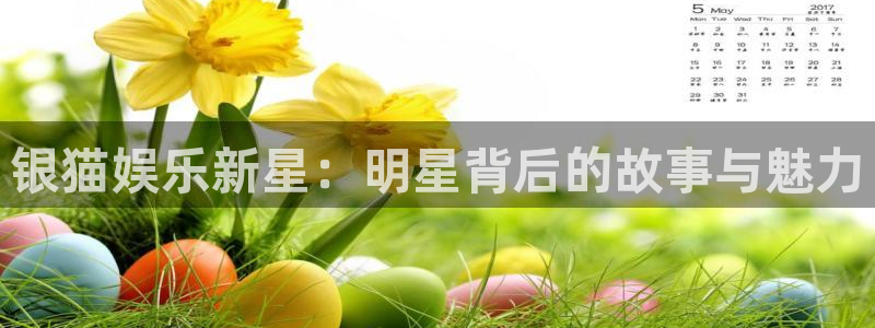 壹号电子娱乐app下载安装最新版本：银猫娱乐新星：明星背后的故事与魅力