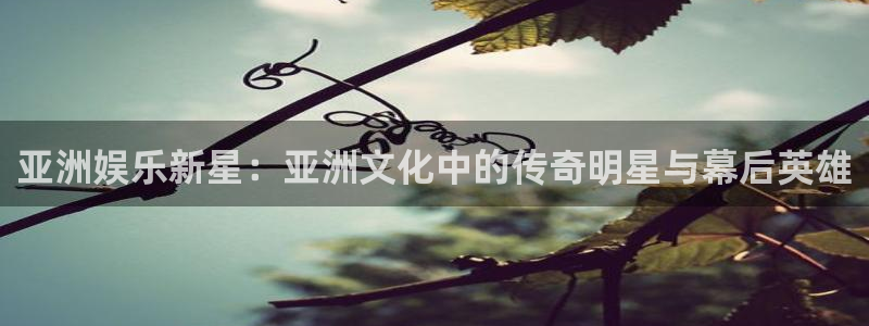 壹号大舞台：亚洲娱乐新星：亚洲文化中的传奇明星与幕后英雄